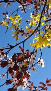 Calendrier interreligieux de mars 2026